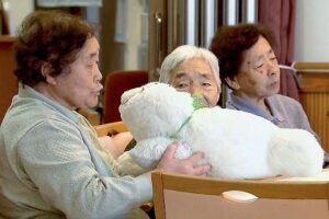 In Japan wird der emotionale Roboter „Paro“ bislang vorwiegend zur Unterhaltung und weniger zur Therapie eingesetzt. Foto: Matthias Kind