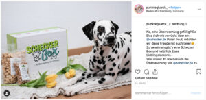 Deutsche Dog- und Catfluencer auf Instagram