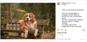 Deutsche Dog- und Catfluencer auf Instagram