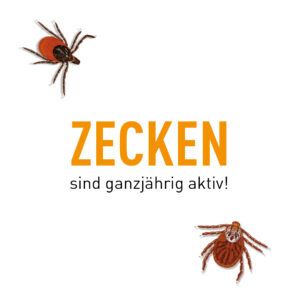 Zecken haben inzwischen fast ganzjährig Saison. © MSD Tiergesundheit